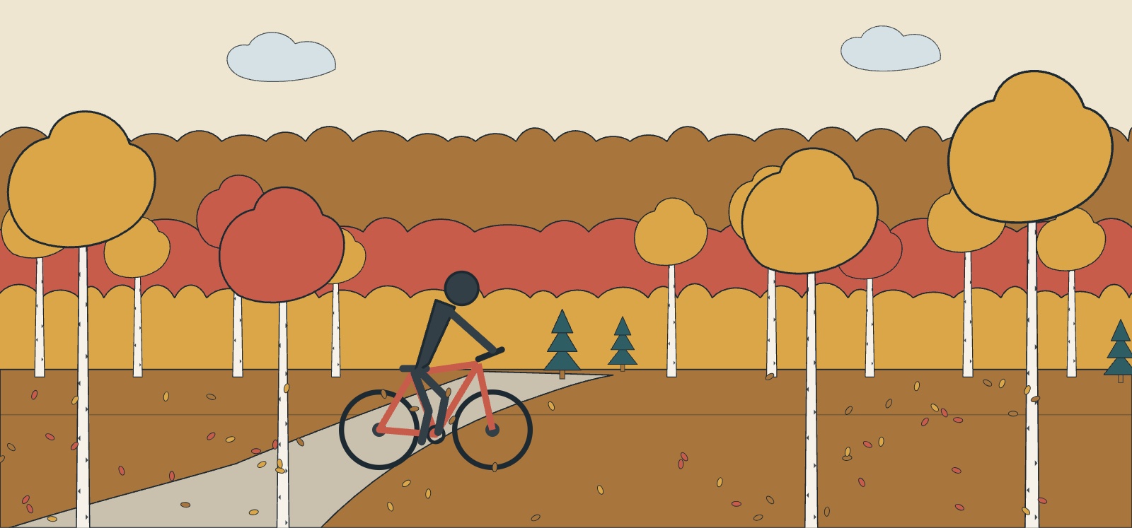 Illustration of an autumn aspen forest with white trunks and golden leaves, and a mountain bike trail running through it