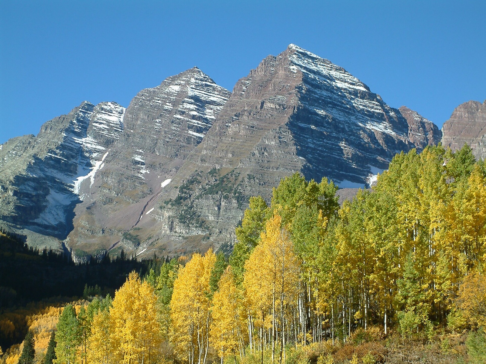 The snow-dusted Maroon Bells above a stand of aspens in full golden autumn color in late September